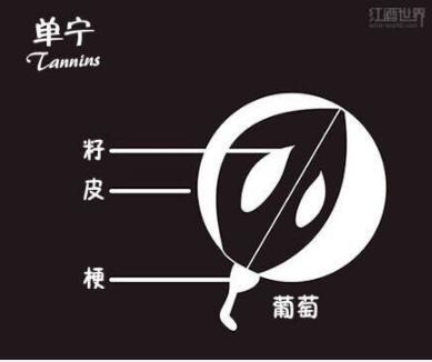 葡萄酒小知识葡萄酒怎么喝,喝葡萄酒一定要多了解葡萄酒知识