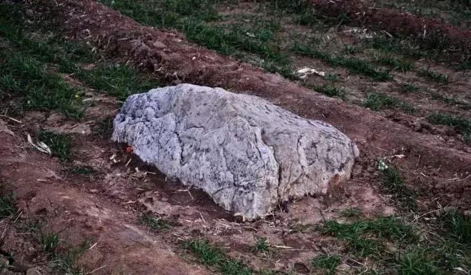 职称论文专著审核标准,职称论文造假通报最新