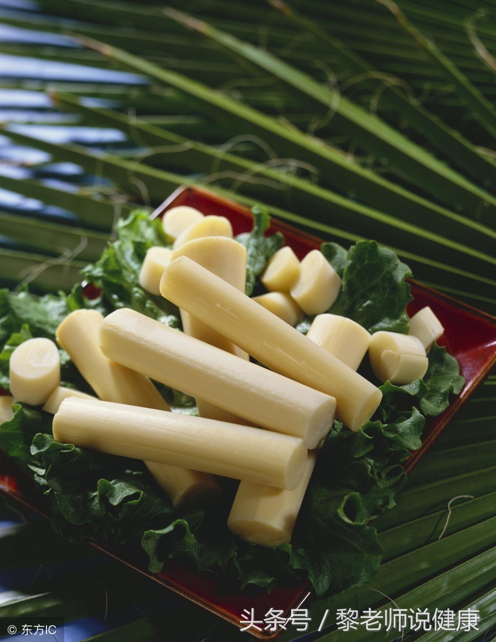 竹笋是发物吗肿瘤病人能不能吃,竹笋是发物吗哪些人不能吃减肥