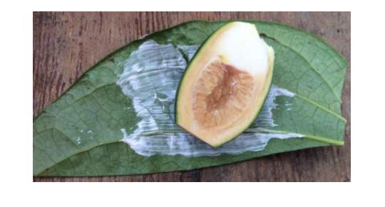 吃青槟榔会不会上瘾,吃槟榔上瘾时的样子