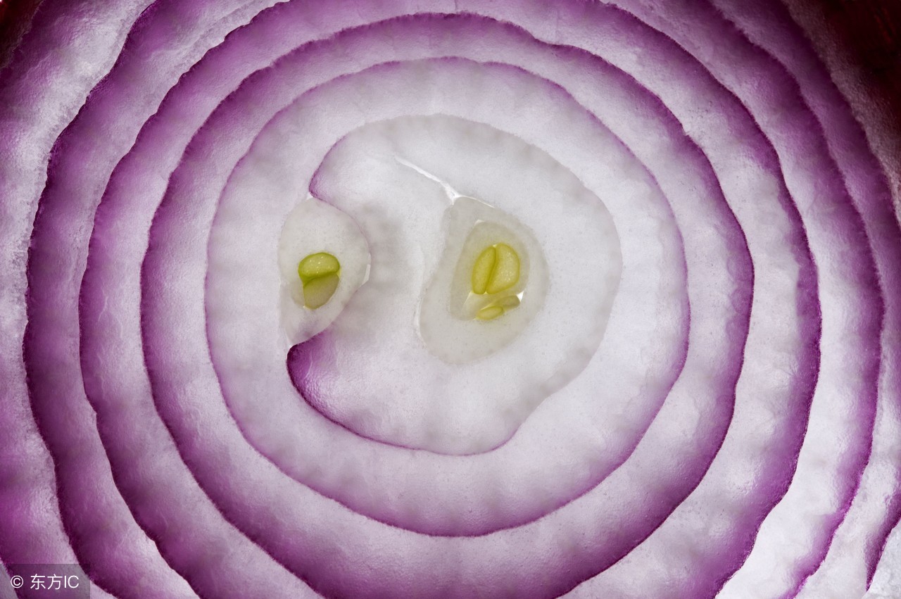 鸡黄白痢什么药效果最好,治鸡白痢中草药有哪些