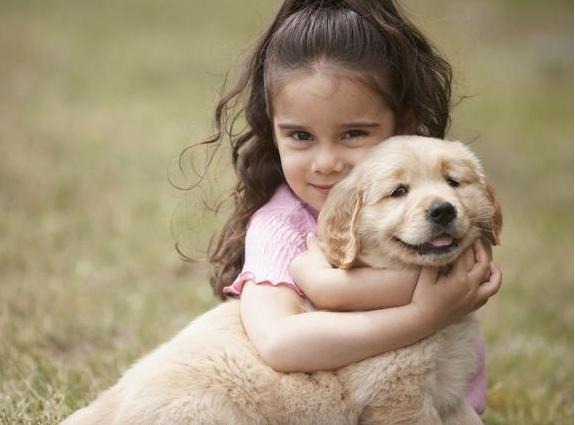 狗子遇到熊孩子怎么办,熊孩子遇到狗是什么反应
