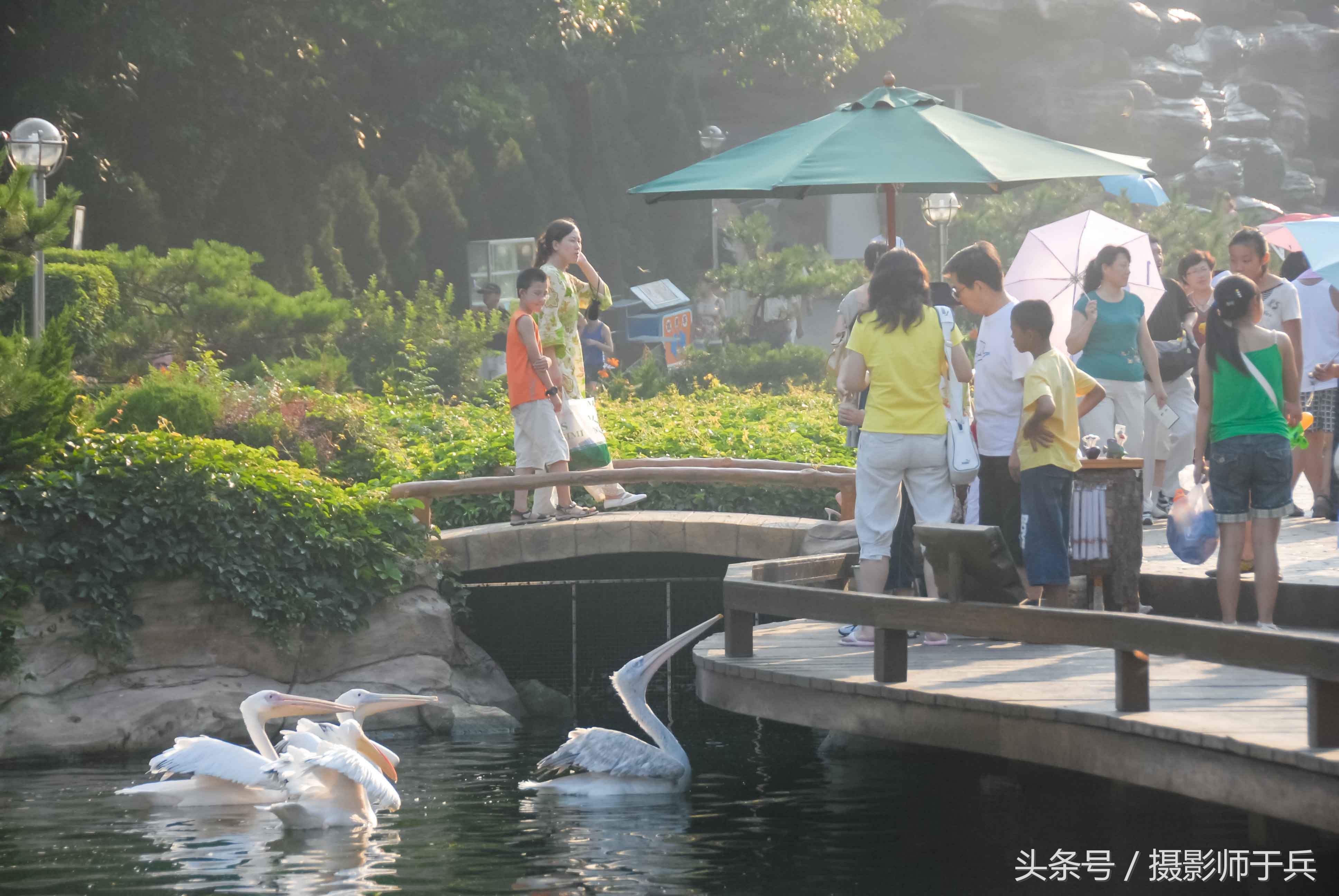 大连海洋主题公园在哪里,大连最著名的老虎滩海洋公园