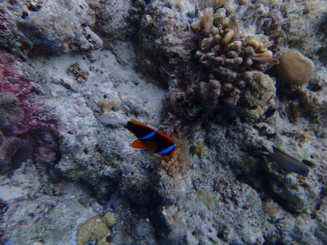 闺蜜一起游东湖公园,跟闺蜜一起去观光大海