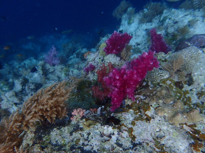 和闺蜜一起去水上世界,闺蜜一起游东湖公园