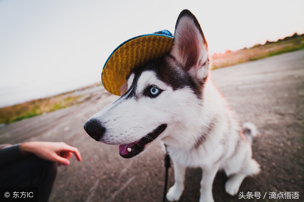 搞笑幽默又风趣的小明,小明滚系列最新段子