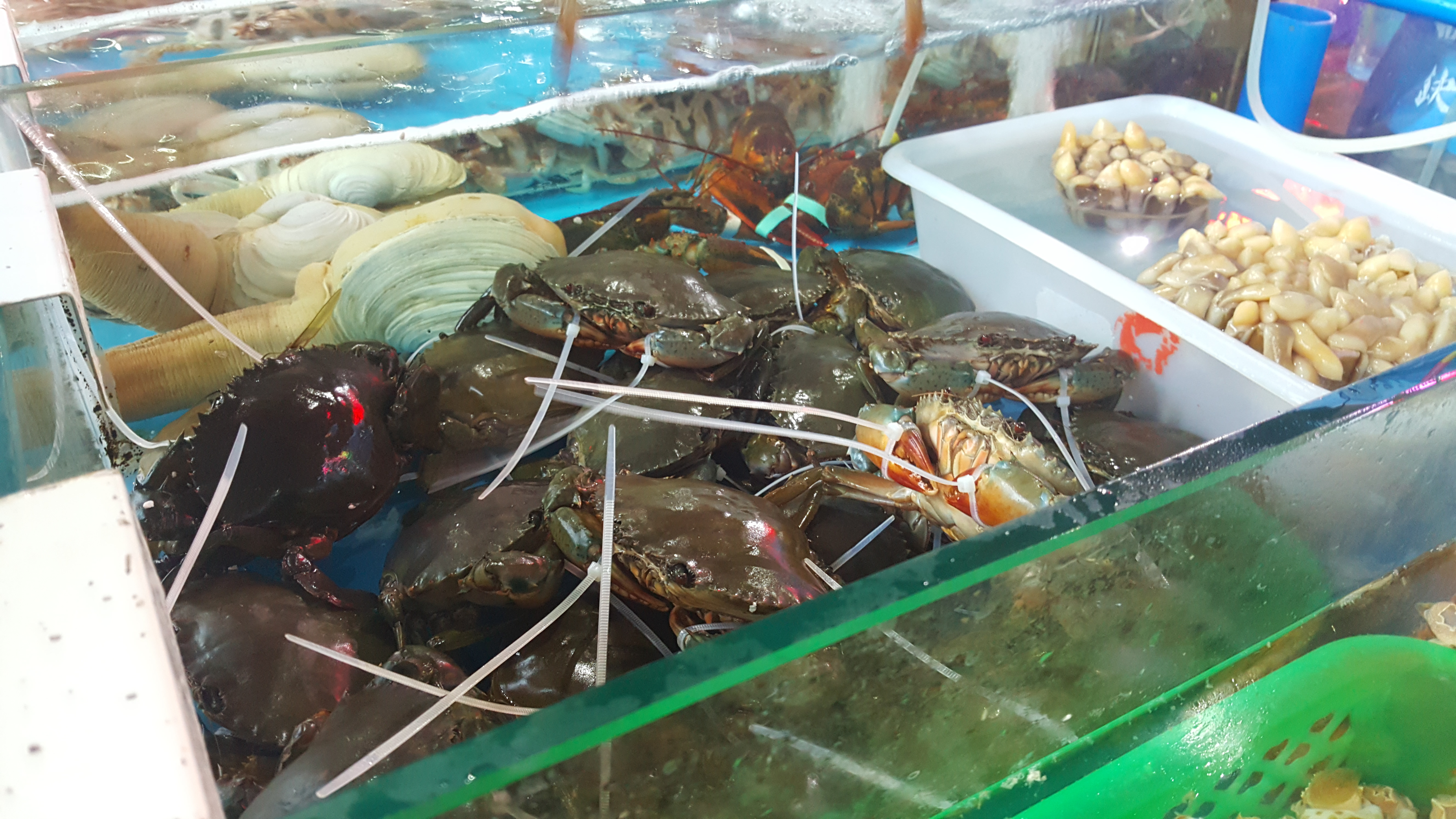 森林氧吧游玩攻略,宝界森林公园游玩攻略