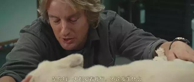 确认过的眼神是我想宠的人,确认过眼神是我想撩的灵魂