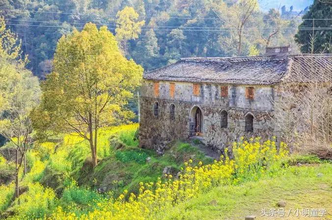 红色记忆、江南山乡、诱人美食…这趟旅行才最值得一试!