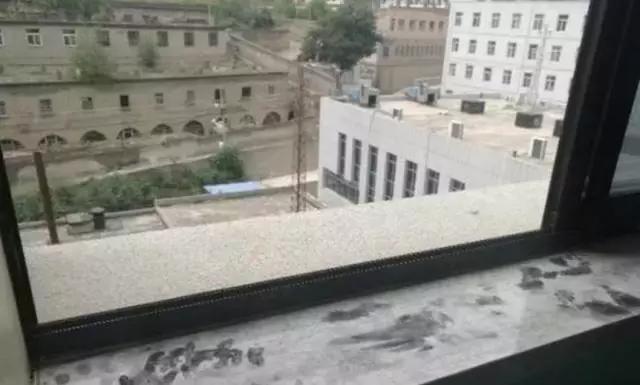 产妇疼痛难忍丈夫拒绝无痛分娩,生孩子老公拒绝无痛分娩