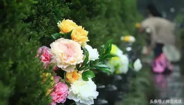 佛教清明节如何祭祖,清明节佛弟子注意事项