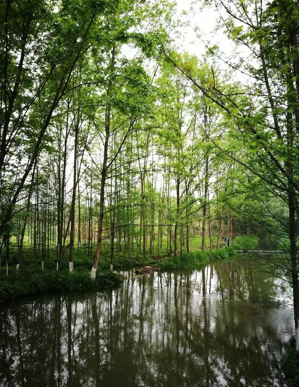 再上5天班，就放小长假！四川哪里*光春**诱人？靠谱实测甩给你