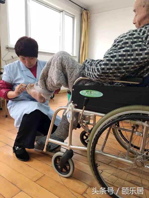 生命最后的守护者,生命最后一刻的守护者