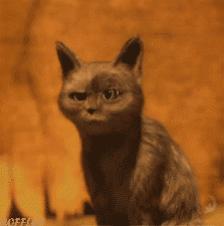 pvc环保材质的包包,pvc材质的包包为什么卖好几千