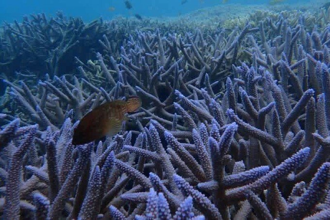 带着我的宝贝豆豆|一起去西太平洋上的海岛国家！