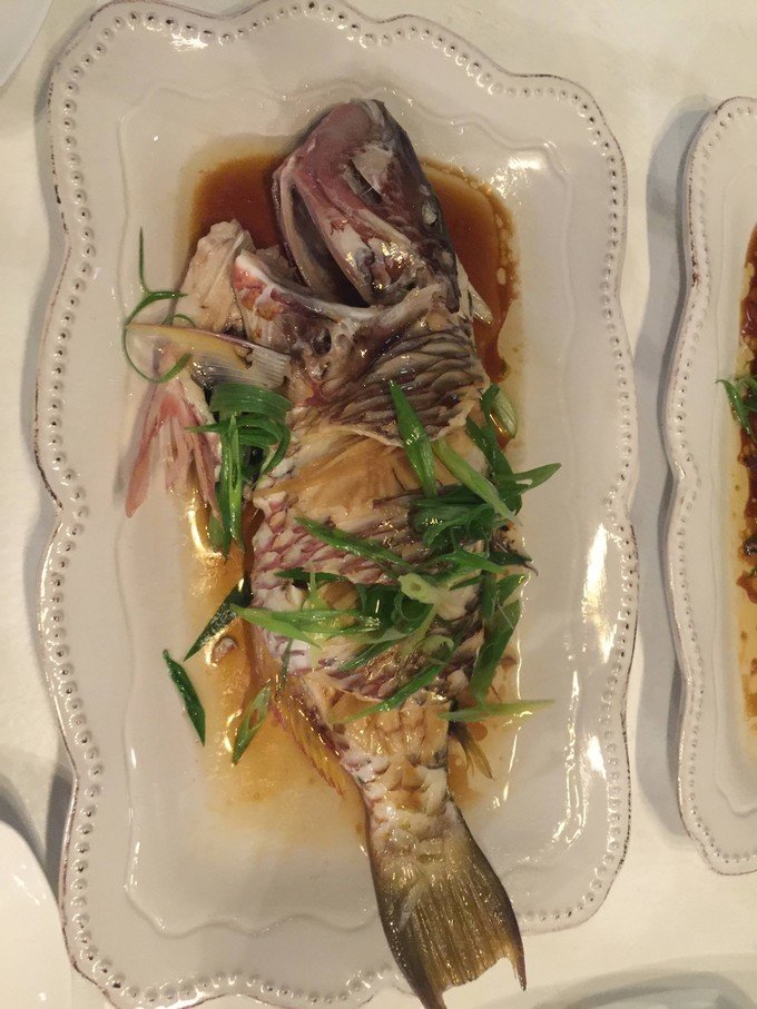 宝贝喜欢小金鱼,宝贝喜欢玩水