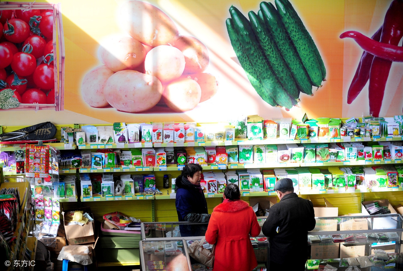 在农村种地有什么好的出路,不想打工在农村做什么好