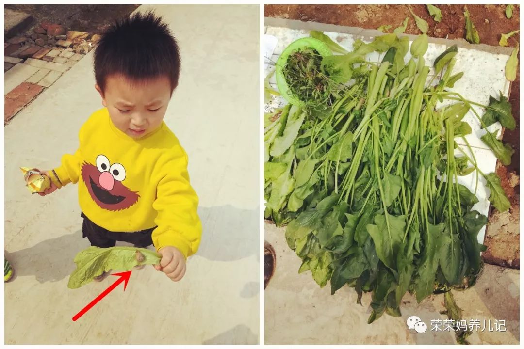 春暖花开别人出去春游,春暖花开溜娃的好地方