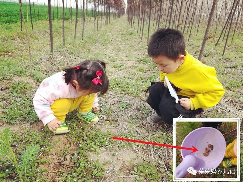 春暖花开别人出去春游,春暖花开溜娃的好地方