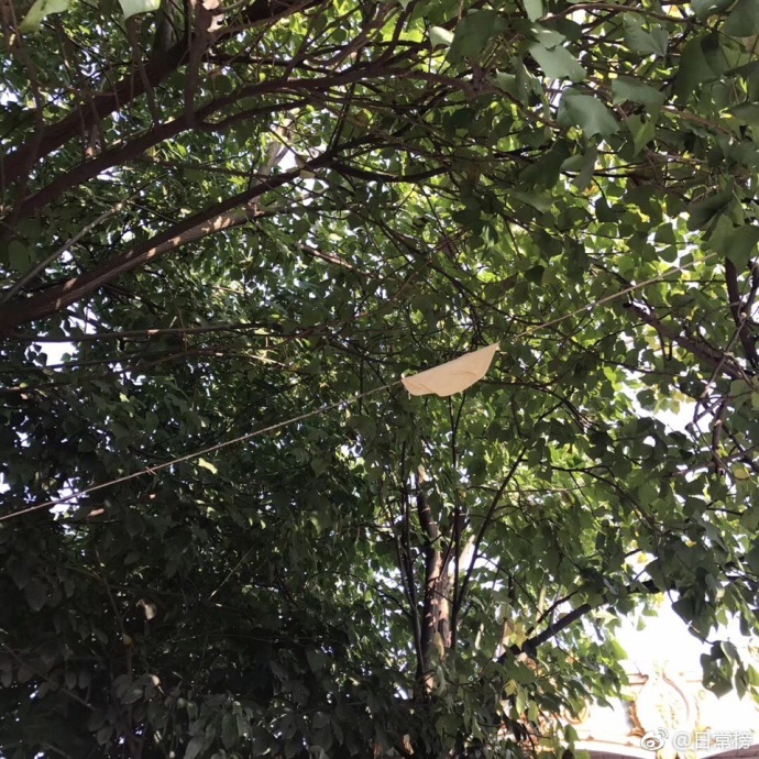 男子偷盗只为进合唱团,男子偷盗十年只为加入监狱合唱团