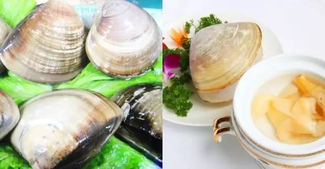 贝壳类海鲜最好吃有哪些,18款海鲜菜品分享给大家