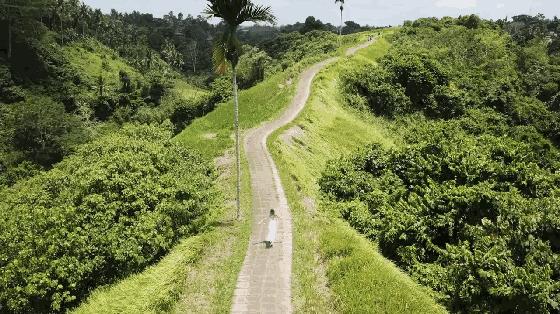 娉曞浗鍏嶇灏忓矝鏃呮父,娉曞浗鍏嶇娴峰矝鏃呮父