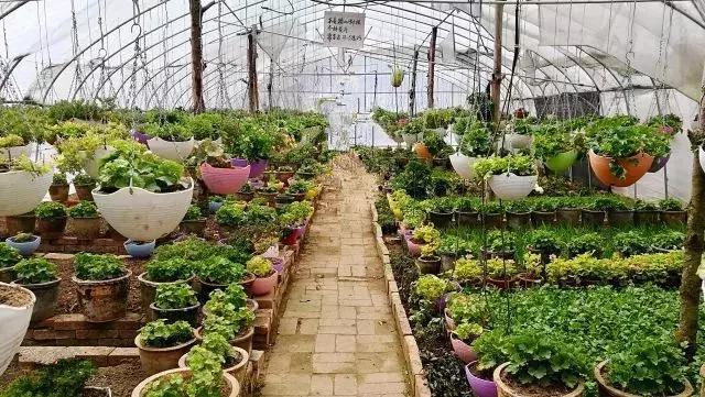 春来花自青秋至叶飘零原文解释,春来花自青秋至叶飘零出自哪里