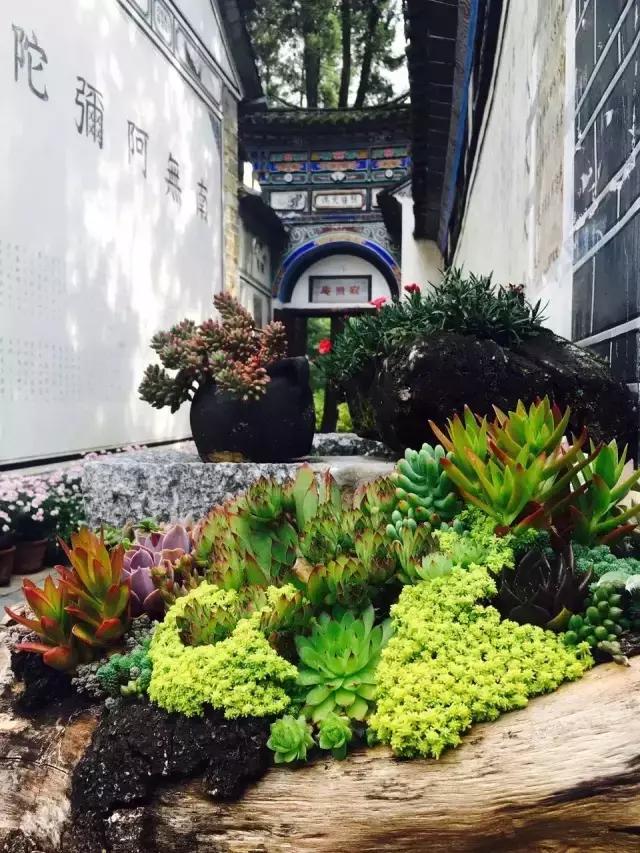 春来花自青秋至叶飘零原文解释,春来花自青秋至叶飘零出自哪里