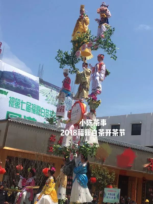 傍大师，认品牌，这些不懂茶的白茶掌柜有点“飘”了！