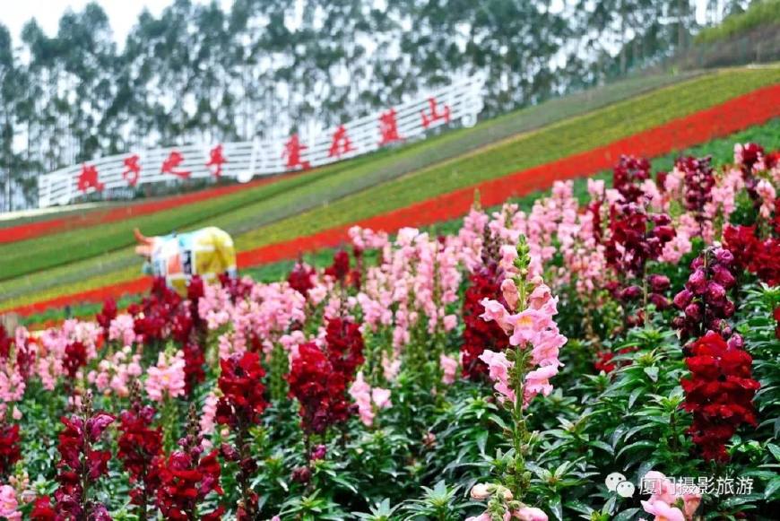 长泰古山重村适合什么时候去,厦门周边游景点推荐适合亲子