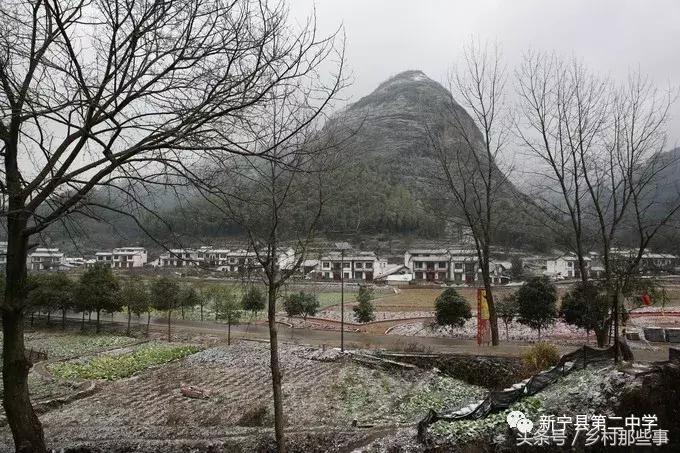 崀山鲸鱼闹海视频,不见鲸鱼的全部小说