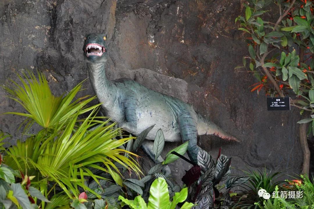 农业嘉年华北京,北京农业嘉年华延期