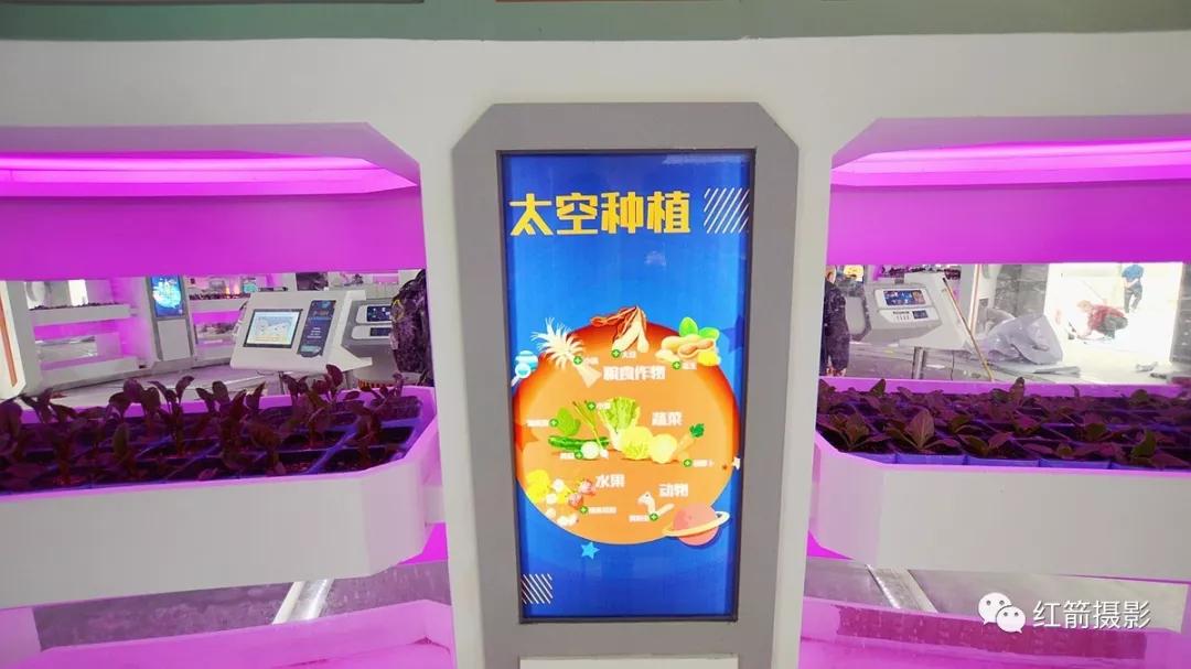 农业嘉年华北京,北京农业嘉年华延期