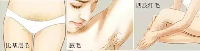 一秒脱毛,如何在一分钟内脱毛