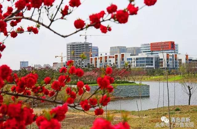 住在南海小岛上是一种怎样的体验,住在红岛的真实感受