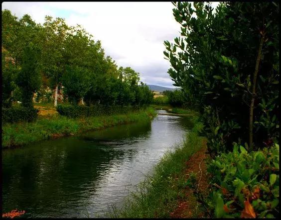 奥克美纳斯战役：罗马军事工程学的胜利