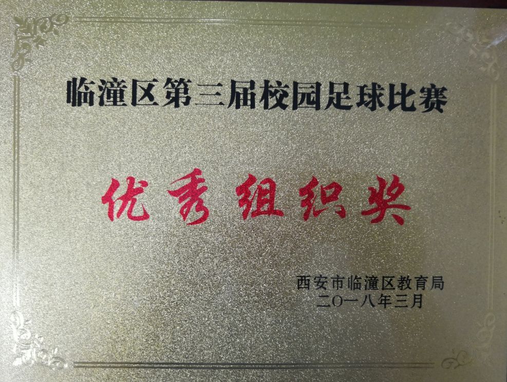 临潼校园足球联赛,西安临潼华乐学校2019足球赛