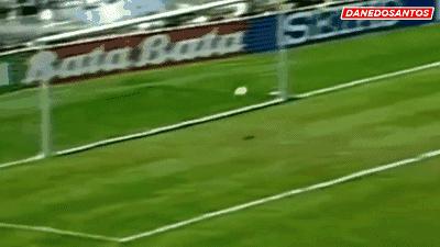 伊布十大经典进球,博格坎普转身进球