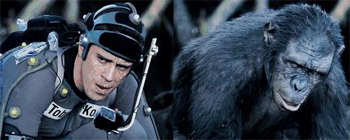 男人进化的最佳时间,男性和女性谁进化得完美