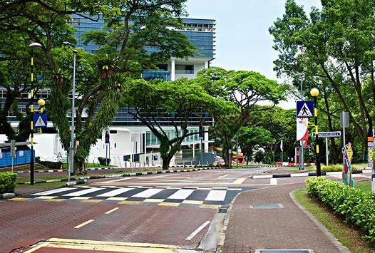 新加坡国大特优荣誉学位,新加坡国大商学院有多强