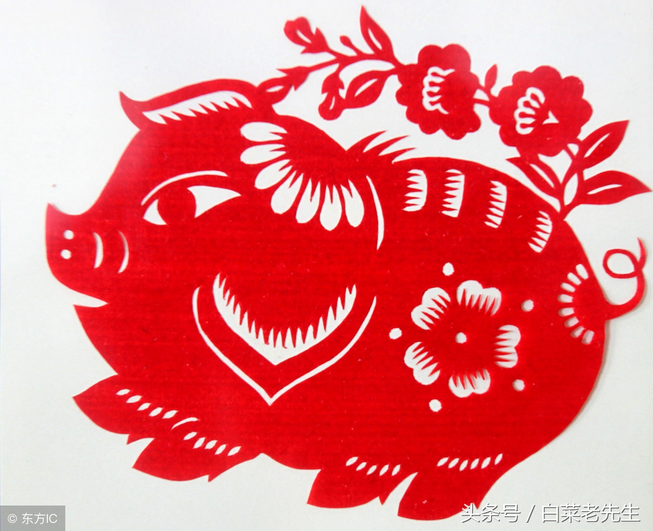 梦见出现12生肖的样子,梦见十二生肖分别代表着什么