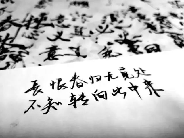 dnf裁判团图片,dnf滑板裁判团