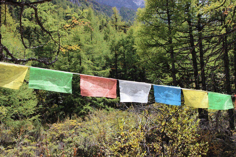 从稻城亚丁回重庆开车推荐路线,重庆到稻城亚丁开什么车最好