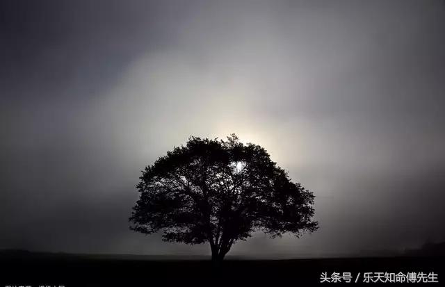 八字命理实战之女命,渊海子平论女命准吗