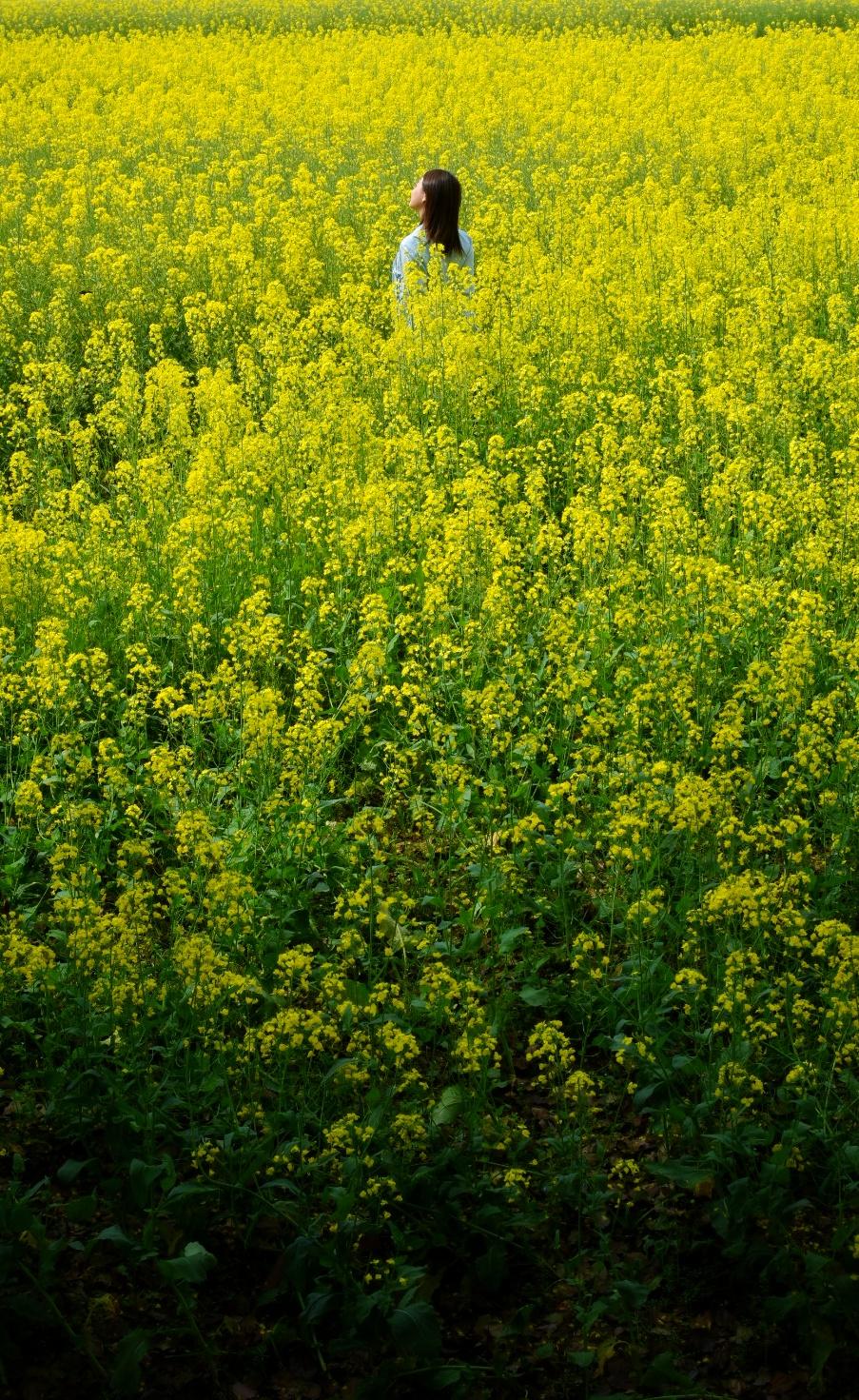 山灵水韵，德才兼备，这座城市的*光春**了不起！