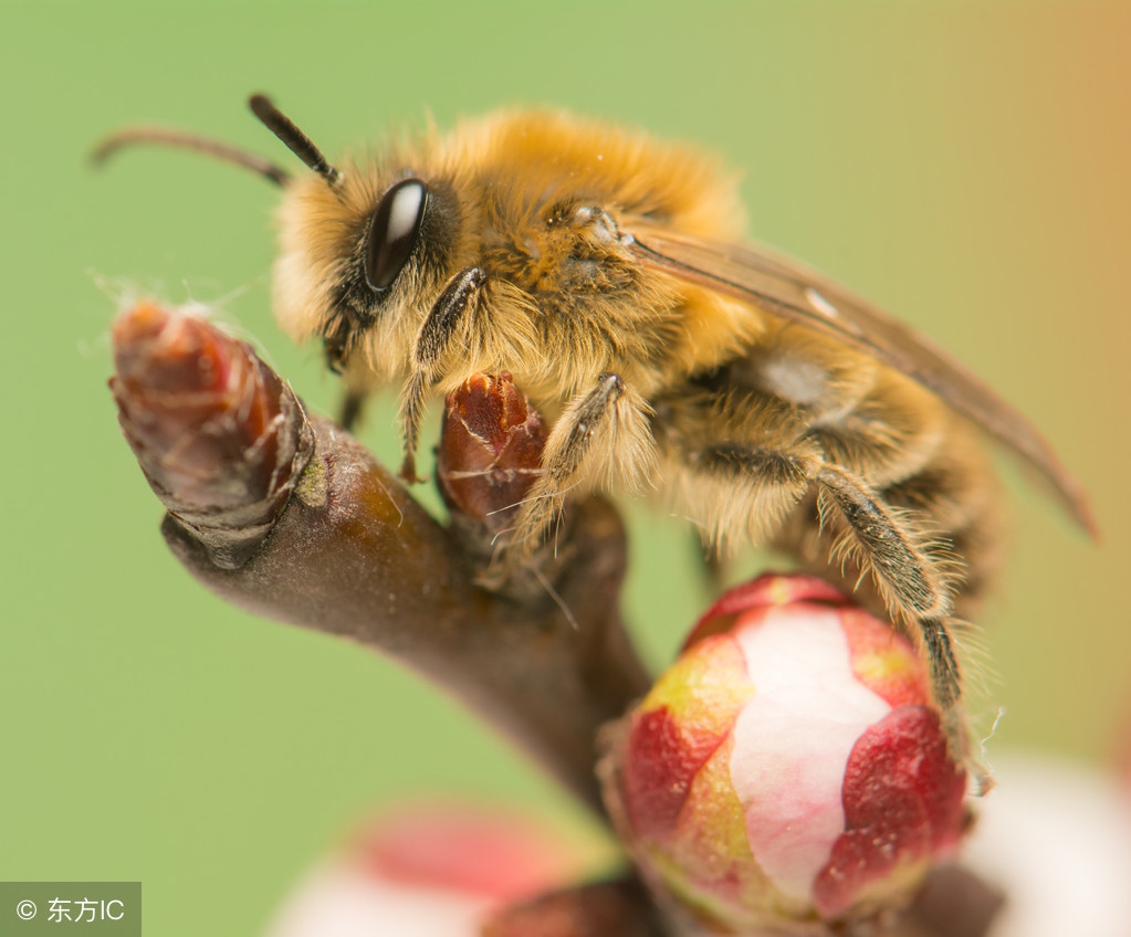 假期出游遇意外责任谁来承担,出游要知道的急救常识