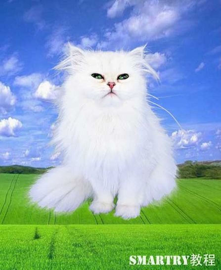 抠图ps非蒙版教程,ps抠图签名的抠图方法