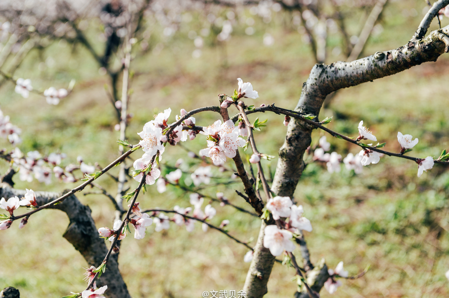 六安九十里山水画廊攻略,六安九十里山水画廊是啥