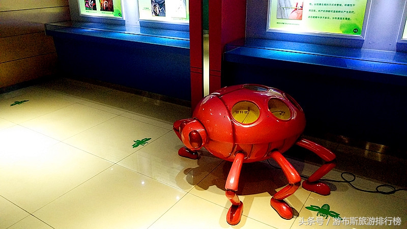 上海昆虫博物馆蜘蛛,上海昆虫博物馆珍藏馆