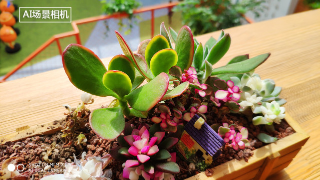 小米MIX2S测评,小米mix2s评测跑分